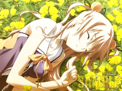 BALDR SKY Dive1LostMemory