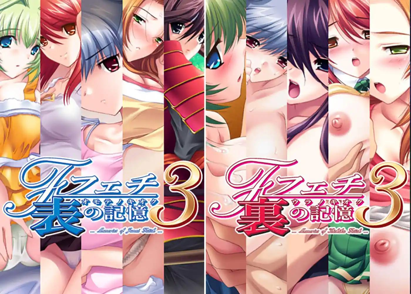 ヌキコレ vol.110 フェチ３ 表の記憶+裏の記憶