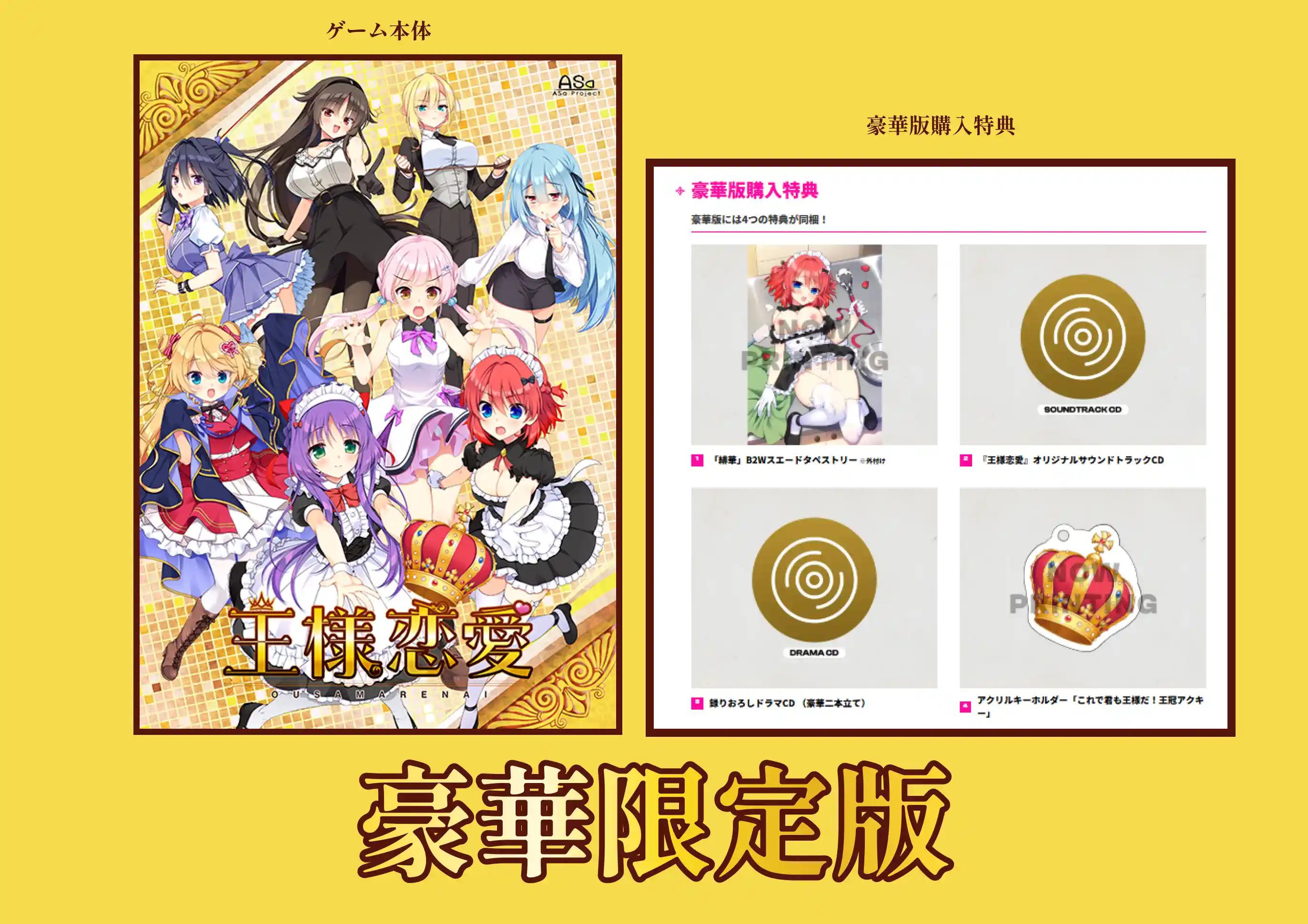 王様恋愛 豪華限定版 当店オリジナルA4イラストクロス付き